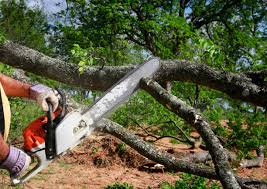 Soil Testing and Treatment in Mosheim, TN